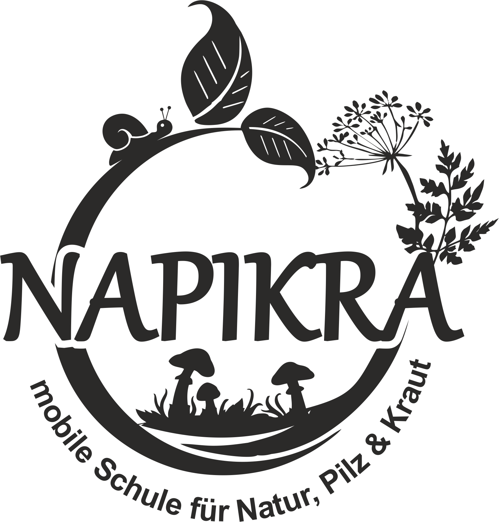 Napikra