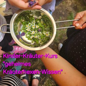 Kräuterkurse für Kinder Napikra Sachsen Leipzig Borna mobile Schule für Natur Pilze und Kräuter