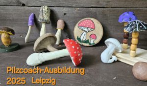 Pilzcoachausbildung in Leipzig mit Pilzen färben Papier herstellen Feuer machen Napikra