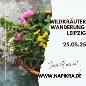 Wildkräuter wanderung Napikra